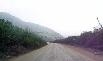 sumbilca1