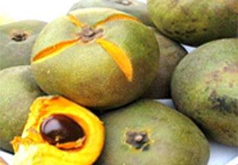 lucuma