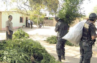 marihuana